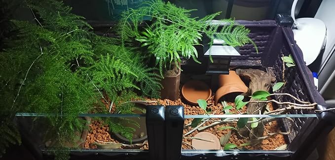 Horticultural Calcined Clay Soil Bonsai Cactus Soil Additive for Succulent Plants (6 LB, 1/8 inch)