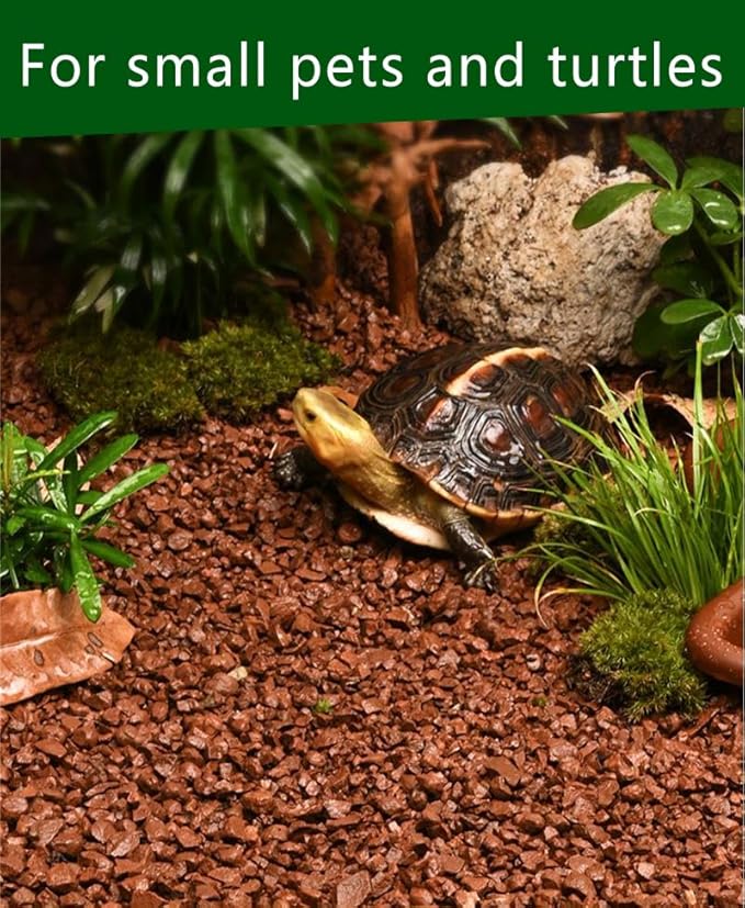 Horticultural Calcined Clay Soil Bonsai Cactus Soil Additive for Succulent Plants (5 QT, 1/4 inch)