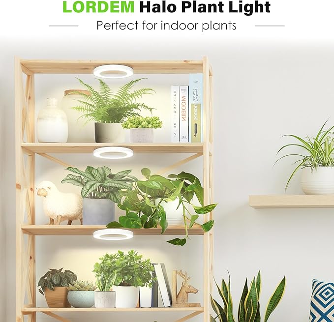 LORDEM 6.3” Ceiling Grow Lamp for Indoor Plants, 216 LEDs Full Spectrum Halo Plant Light, Under Cabinet Grow Lights with 4/8/12H Auto Timer, 3 Switch Modes, 4 Dimmable Brightness Levels, Tri Head