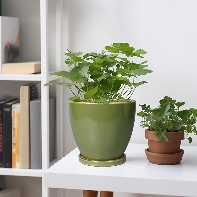 Ceramic Planters for Indoor Plants - 6 Inch Plant Pot with Drainage Hole and Saucer Round Modern Flower Pot Home Garden Patio Decor Green