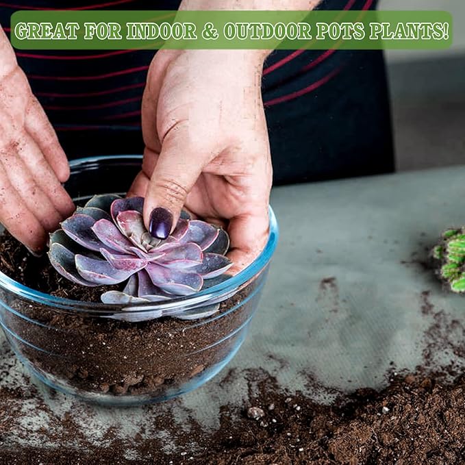 Halatool 6 QT Organic Aloe Plant Soil Potting Mix Garden Top Succulent Soil for Indoor & Outdoor Plants Bonsai Cactus Soil Potting Mix for Houseplants Flowers Vegetables & Herbs