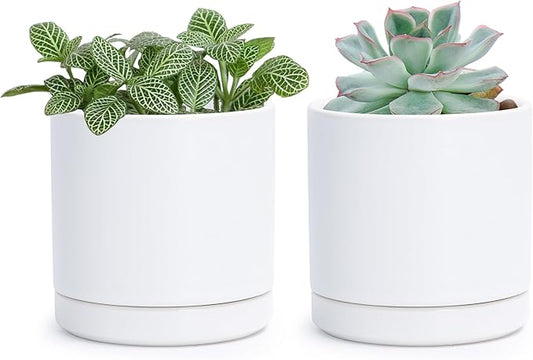 D'vine Dev Set of 2 Plants Pots, 3.5 Inch Ceramic Planter Pot for Plants with Drainage Hole and Saucer, White, 94-V-A-1