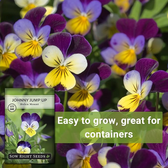 Sow Right Seeds - Violet, Johnny Jump-Up Flower Seed for Planting - Beautiful Flowers to Plant in Your Garden - Non-GMO Heirloom Seeds - Perfect for Spring Containers - Attract Pollinators (2)