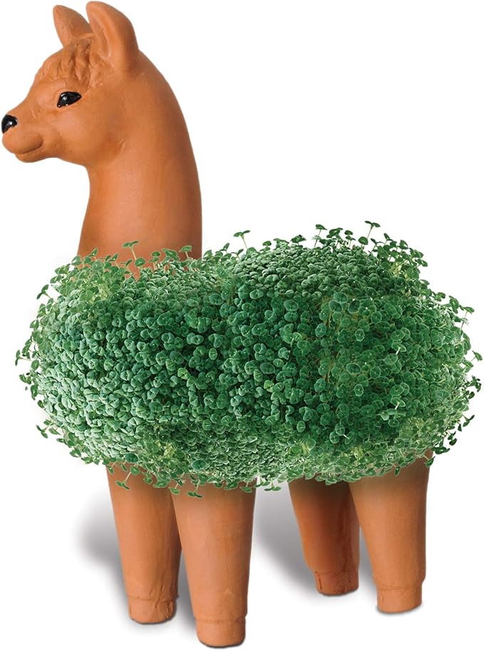 Chia Pet Llama with Seed Pack, Decorative Pottery Planter, Easy to Do and Fun to Grow, Novelty Gift, Perfect for Any Occasion