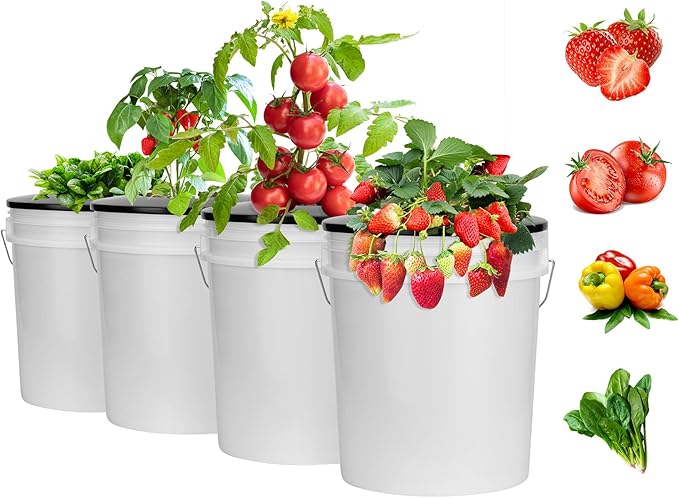 3 Pack Net Pots 6 Inch for 5 and 3.5 Gallon Bucket Net Pot Lids, Wide Lip Hydroponic Bucket Lids, DWC Basket Lids for 5 Gallon Bucket