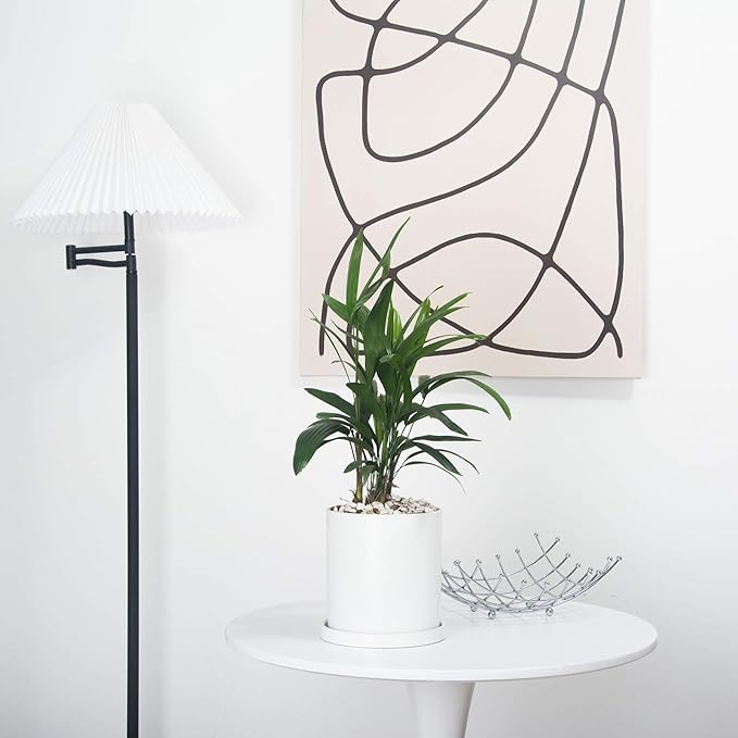 Planters for Indoor Plants Ceramic Flower Succulent Plant Pots with Drain Hole Saucer Decor for Home Office (6 inch White)