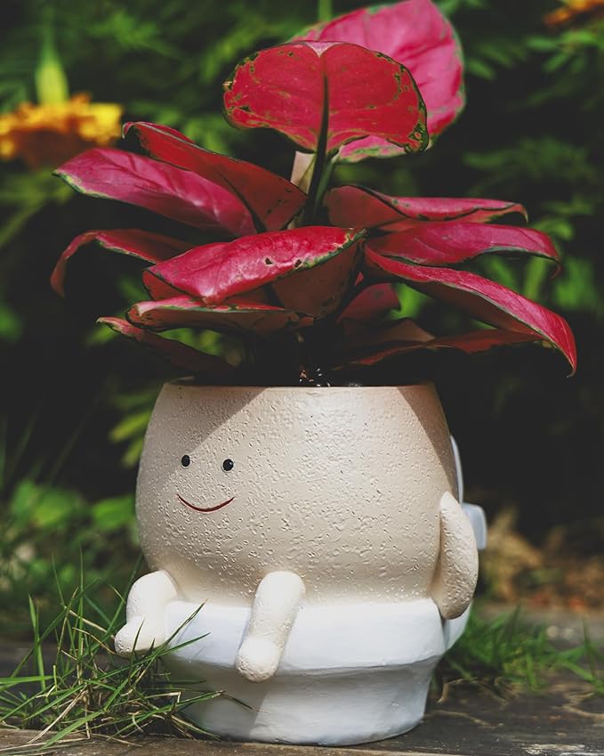 Smily Face Planter Pot Funny Toilet Plant Pots Cute Resin Flower Head Planters Succulent Pots for Indoor Outdoor Plants Unique Bathroom Planter with Drainage Hole (Large)