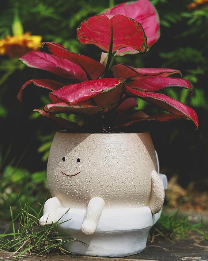 Smily Face Planter Pot Funny Toilet Plant Pots Cute Resin Flower Head Planters Succulent Pots for Indoor Outdoor Plants Unique Bathroom Planter with Drainage Hole (Small)