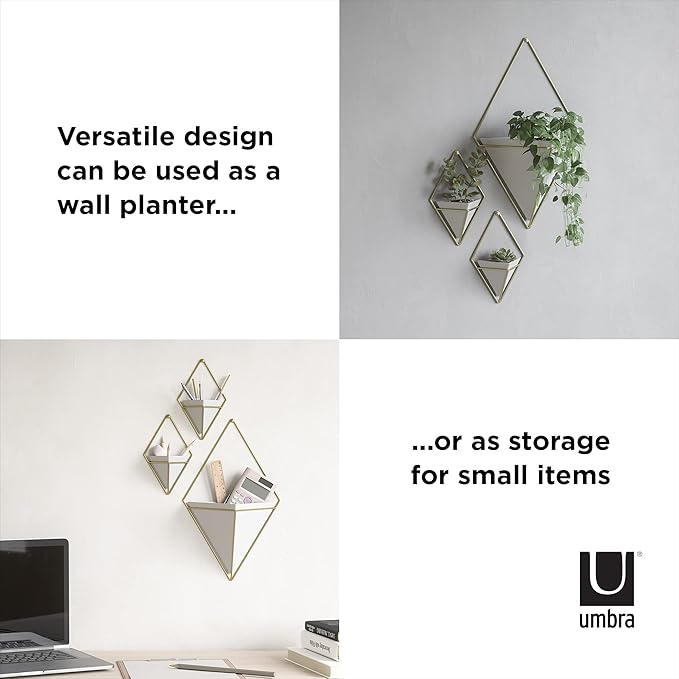 Umbra Trigg Hanging Planter Vase Wall Decor, Set of 2 Pots Containers for Succulents, Cactus, Faux Plants, and More, Small, White/Brass