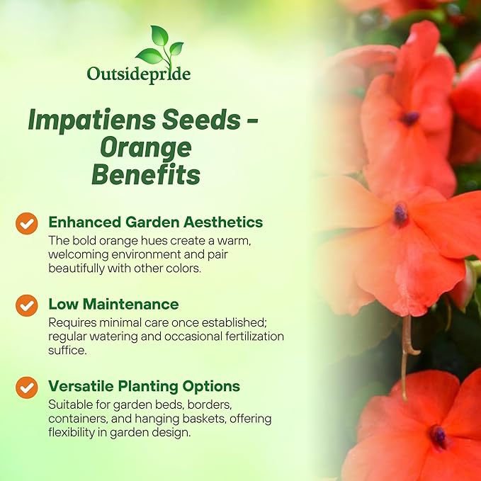 Outsidepride 50 Seeds Orange Impatiens Garden Flower Seeds for Planting