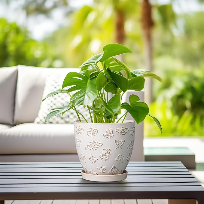 Ceramic Planter Pot - 6 Inch Plant Pot with Drainage Hole and Saucer, Succulent Round Flower Pot for Plants Indoor Outdoor, White