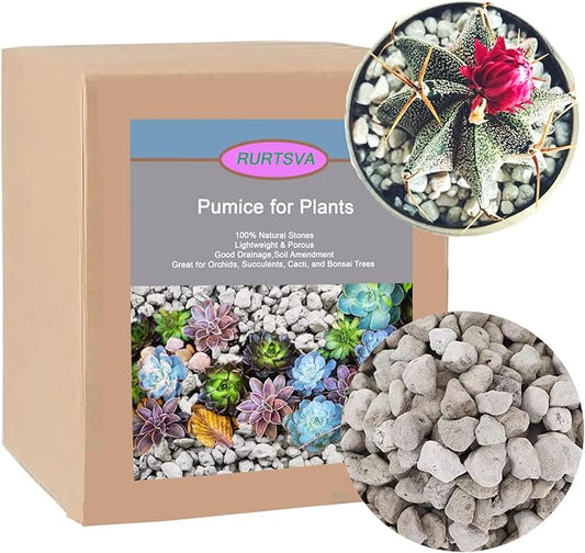 Horticultural Pumice for Plants 5QT, Natural Organic Pumice Stones for Succulent Cactus Bonsai Tree Orchid Potting Mixed, Improves Soil Aeration and Drainage, Promotes Root
