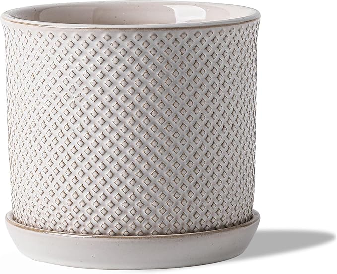 6 Inch Plant Pot: Ceramic Planter with Drainage Hole & Saucer for Indoor Outdoor Plants - Flowerpot with Bonded Tray for Home Office - Beaded Embossed Style, Cream White