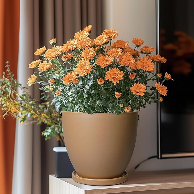 Ceramic Pots for Plants - 8 Inch Planter, Indoor Plant Pot with Drainage Hole and Saucers, Modern Flower Planter, Home Garden Patio Bathroom Porch Room Decor, Brown