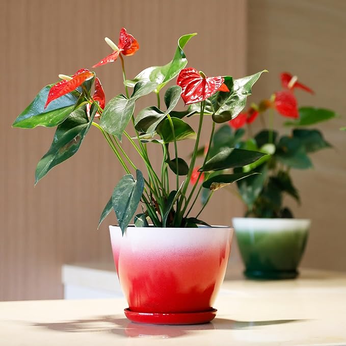 Worth Garden Plastic Round 8" Planters for Indoor Plants - Set of 6 Multicolor Small Gloss Flower Pots with Drainage Holes and Saucers - Home Decorative Christmas Containers