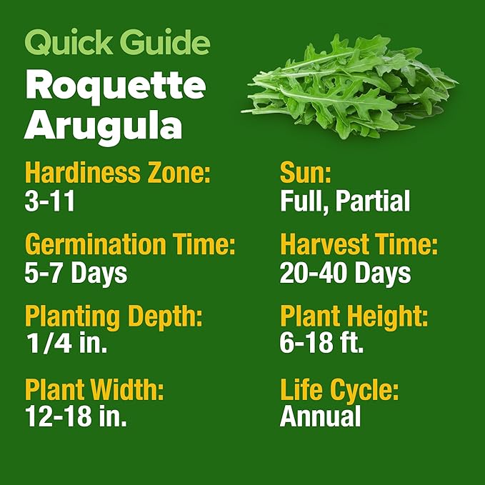 HOME GROWN Arugula Roquette Seeds 2 Pack (9g) 4350 Non-GMO Heirloom Arugula Seeds for Planting - Best for Outdoor Gardens, Providing Fast-Growing Greens for Salads and Sandwiches - Eruca vesicaria