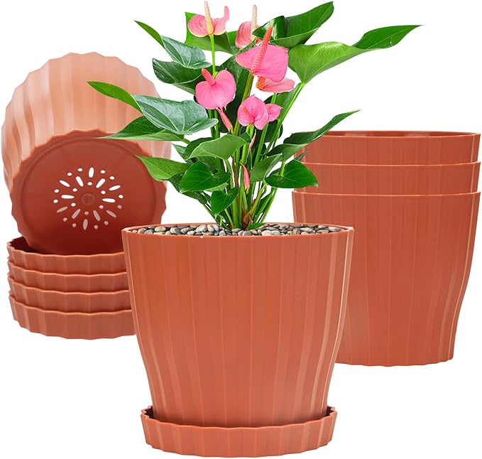 Plastic Flower Pots, 5 Pack 6 inch Indoor Plant Pots Planters for Outdoor Plants Flowers Garden Patio Home Nursery Decor Gifts,Large Succulent Pots with Drainage Tray Saucer & Hole Terracotta