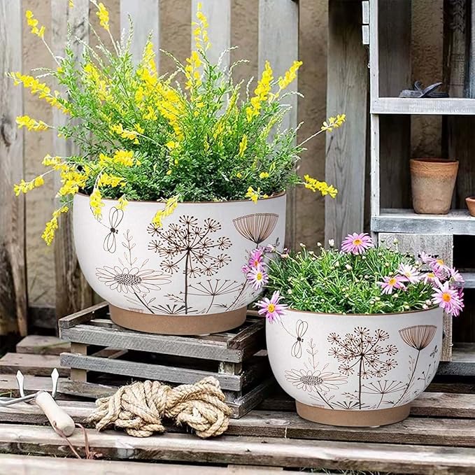 YBX 8 Inch + 6 Inch White&Terracotta Flower Pots, Succulent Ceramic Plant Pots with Drainage Holes, Terracotta Planters for Indoor Plants (Garden)