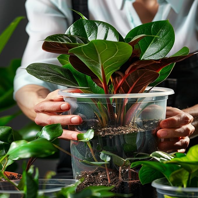 36 Pack 7 Inch Clear Nursery Pots, 1 Gallon Clear Plastic Nursery Pot for Plants, Durable Seed Starting Pot with Drainage Holes, Flexible Transparent Pot for Succulents