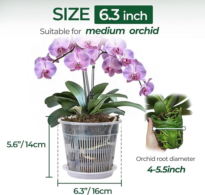 T4U Orchid Pot, 6 Pack 6.3 Inch Orchid Pots with Holes and Saucers, Clear Orchid Pots for Repotting, Plastic Flower Plant Pot for Indoor Outdoor Plants, Slotted Orchids Planter for Root Health