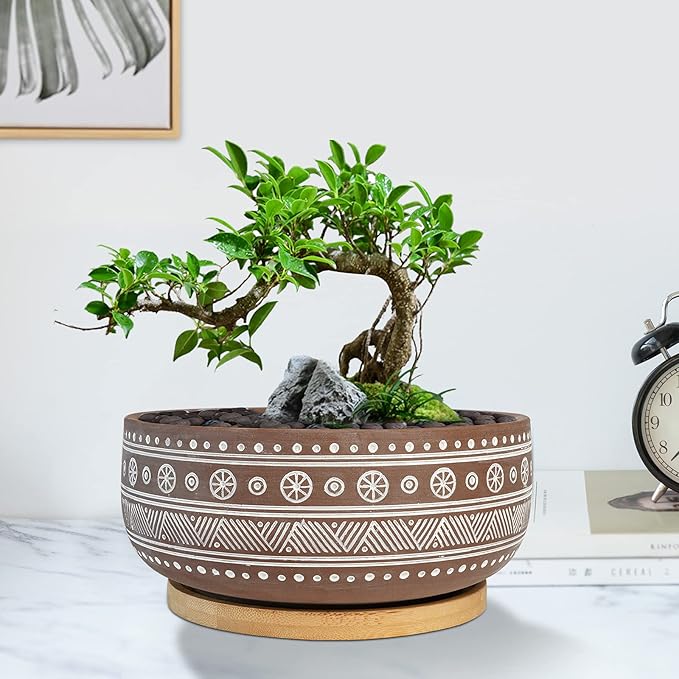 8 Inch Terracotta Succulent Planter Pot with Drainage Hole and Bamboo Tray, Brown Round Shallow Bonsai Pot for Indoor Plants
