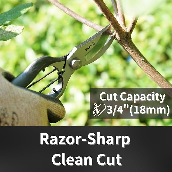 Japanese Pruning Shears for Gardening 9”, Professional Heavy Duty Bypass Pruners, Hand Forged Japanese Carbon Steel Blade, Spring Loaded Handle, Made in Japan