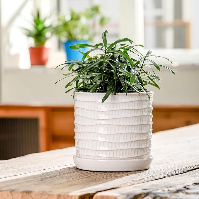 6 Inch Plant Pot: Ceramic Planter with Drainage Hole & Saucer for Indoor Outdoor Plants - Flowerpot with Bonded Tray for Home Office - Wave Embossed