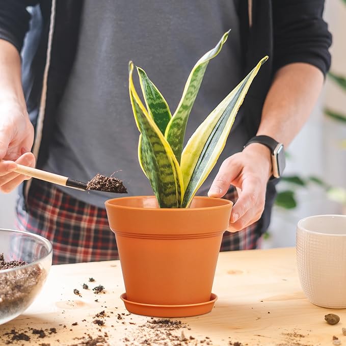 6 inch Small Plastic Nursery Pots, Seedling Pots, 16 Pack Plant Pots for Indoor Outdoor Plants, Flower Pots with Drainage Holes and Saucers, Decorative Planters for House Plants, Terracotta