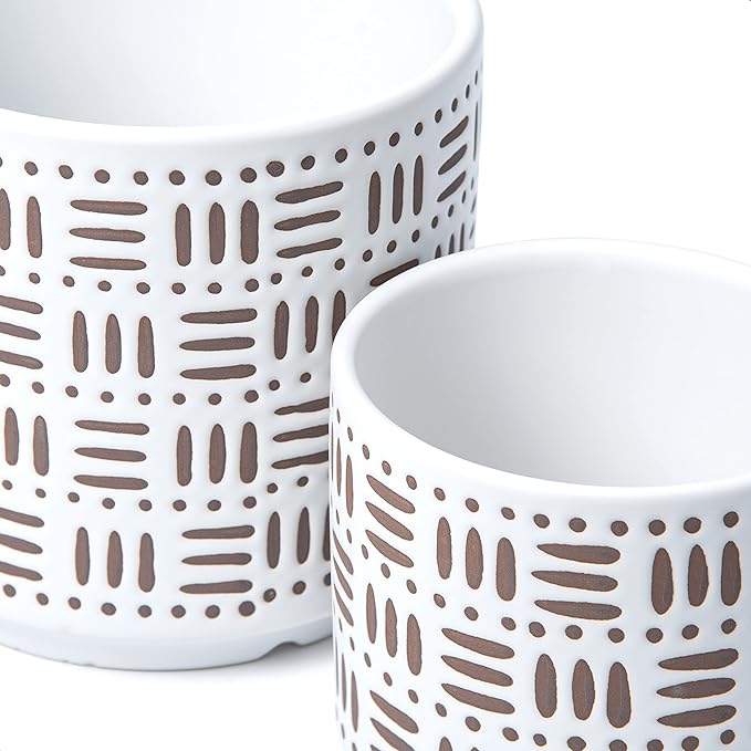 D'vine Dev Set of 2 Ceramic Planter Pots with Drainage Hole and Saucer, 4.5 Inch 6 Inch Plant Pots for Plants Indoor Houseplants, White, 99-F-1
