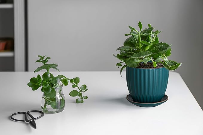 D'vine Dev Set of 2 Stoneware Planter Pots, Ceramic Pot with Drainage Hole and Saucers, 4.5 Inch 5.8 Inch, Dark Blue Green, 99-D-4