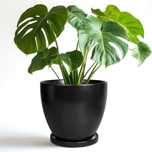 8 Inch Plant Pot - Ceraimc Planter for Indoor Outdoor Plants, Round Flower Pots with Drainage and Tray, House Decor, Black