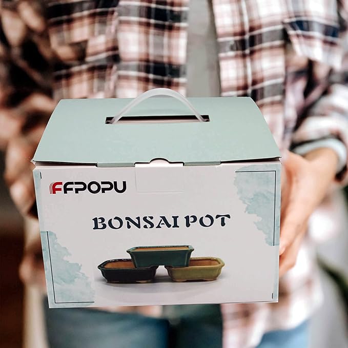 FFPOPU 3-Packs Ceramic Bonsai Pots with Drainage Tray, 6-inch Cute Bonsai Tree Pot with Ice Cracked Glaze, Small Bonsai Planter Pot for Desktop Decoration