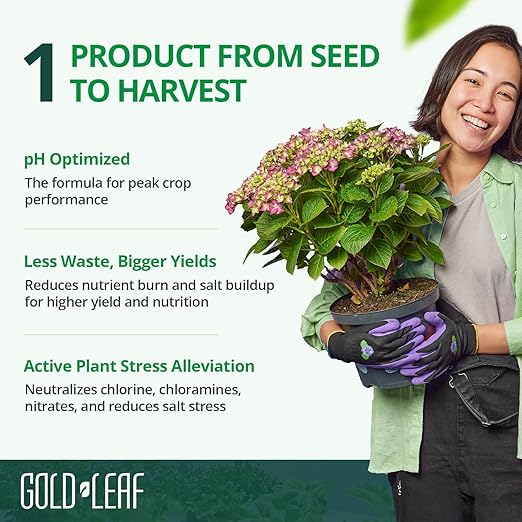 500ml Gold Leaf Liquid Fertilizer Single-Step Plant Fertilizer with Every Essential Nutrient for Healthy Bigger Buds and Blooms, Optimized pH for Soil, Hydroponics, and Coco Grower