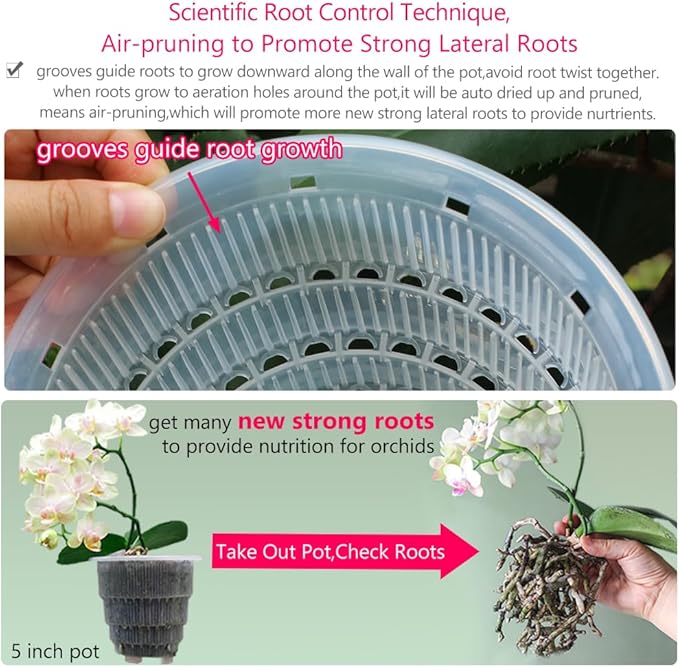 6 inch Orchid Pots with Holes,Set of 2,Double Layer Plastic Imitate Ceramic Orchid Planter Provide Good Air Circulation,Clear Orchid Pot Match Decorative Orchid Container