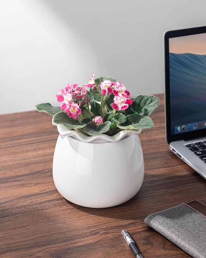 Self Watering Plant Pot, 6 Inch African Violet Pots Maintenance, Ceramic Self-Watering Planter for Indoor Plants - Ideal Flower Pot for Thriving Indoor Gardens