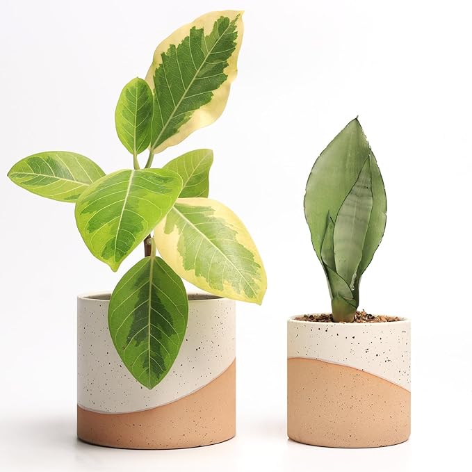 Ceramic Pots for Indoor Plants, 2 Set Flower Pots 5.4/4.3 Inch with Drainage, Double Color Glazed Speckled White & Terracotta Bottom Ceramic Planter Idea for Plant Lovers