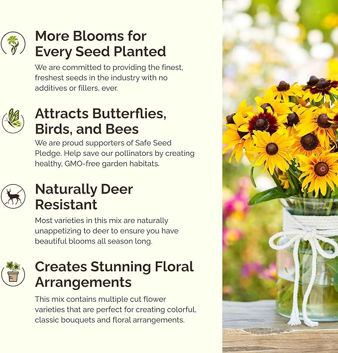 Eden Brothers All Perennial Wildflower Mixed Seeds for Planting, 1/4 lb, 120,000+ Seeds with Lupine, Shasta Daisy | Attracts Pollinators, Plant in Spring or Fall, Zones 3, 4, 5, 6, 7, 8, 9, 10