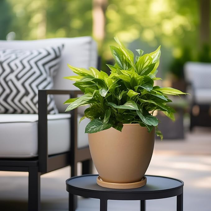 Ceramic Pots for Plants - 8 Inch Planter, Indoor Plant Pot with Drainage Hole and Saucers, Modern Flower Planter, Home Garden Patio Bathroom Porch Room Decor, Brown