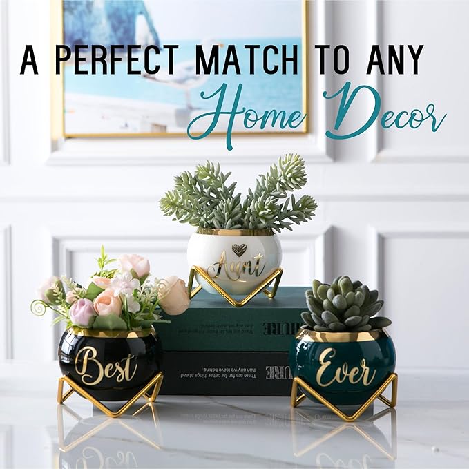 Aunt Gifts, Gifts for Aunt from Niece & Nephew, Best Aunt Ever Gifts, Birthday Gifts for Aunt, Auntie Gifts from Niece Nephew, Great Aunt Gifts, Gardening Gifts for Aunt Unique, 3 Succulent Pots Only