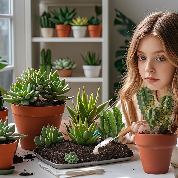 Cactus and Succulent Soil Potting Mix 1qt, Well Draining Chunky Soil Mix for Indoor Plants, Gritty Soil for Healthy Indoor Plants - Spike & Bloom