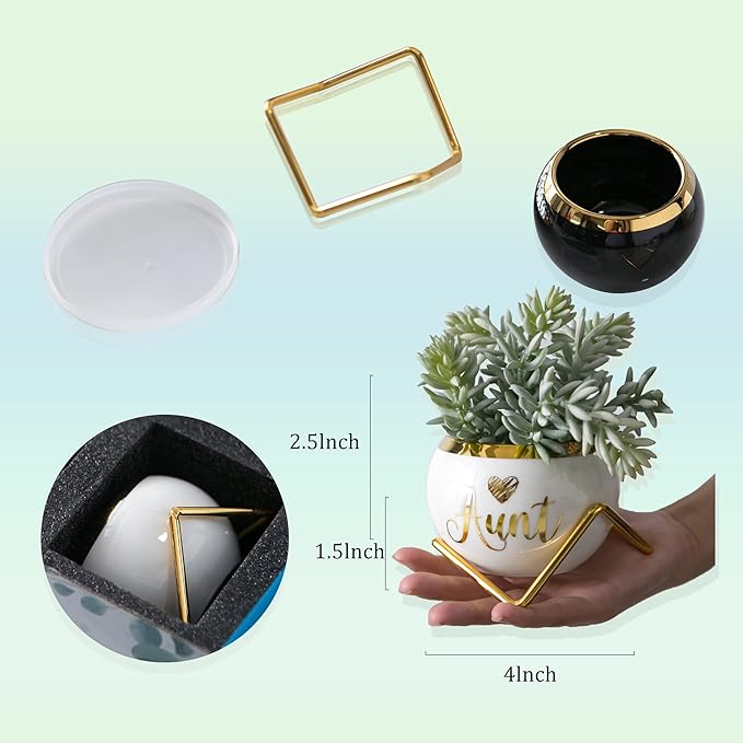 Aunt Gifts, Gifts for Aunt from Niece & Nephew, Best Aunt Ever Gifts, Birthday Gifts for Aunt, Auntie Gifts from Niece Nephew, Great Aunt Gifts, Gardening Gifts for Aunt Unique, 3 Succulent Pots Only