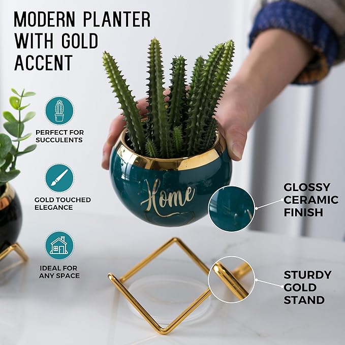 House Warming Gifts New Home, Housewarming Gifts for New House, Best Housewarming Gifts, Home Essentials for New Home Gift Ideas, Living Room Home Decor Farmhouse | 3 Succulent Pots for Plant Lovers