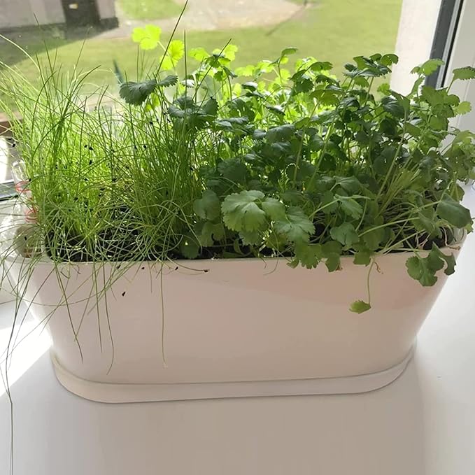 20 Set Window Herb Planter Box Rectangular,8.5x3.5 Inch White Plastic Planters with Multiple Drainage Holes and Trays,Indoor Succulent Cactus Mint Flower Pot for Windowsill,Garden Balcony