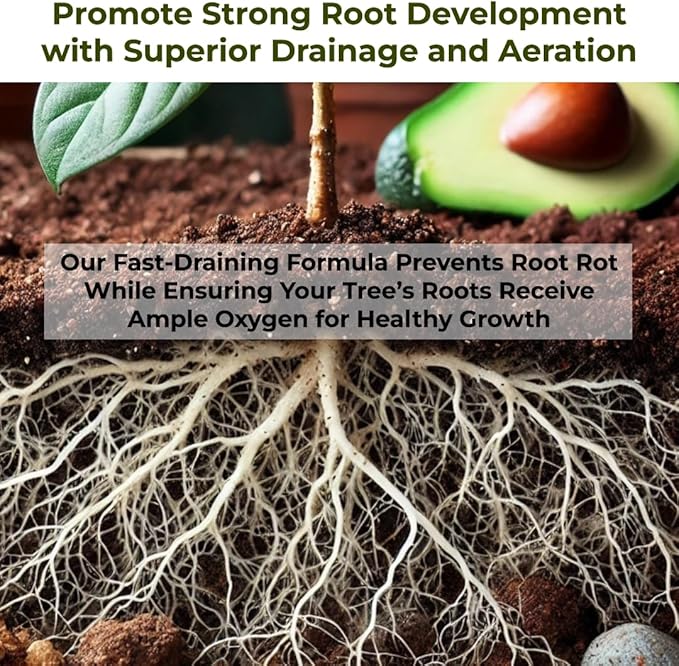 Avocado Tree Soil – Premium Organic Potting Mix for Avocado Trees | Tailored pH & Organic Nutrients | Fast-Draining & Moisture-Retaining | Indoor & Outdoor Use (2 QUARTS)