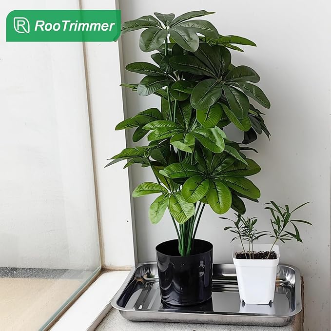 Stainless Steel Plant Trays, 5 Pack Multi-Purpose Tray for Indoor Outdoor Plants, Seed Starting Tray for Potted Plants(11.6 inch×15.2 inch, 1.45" Height, 5-Pack)