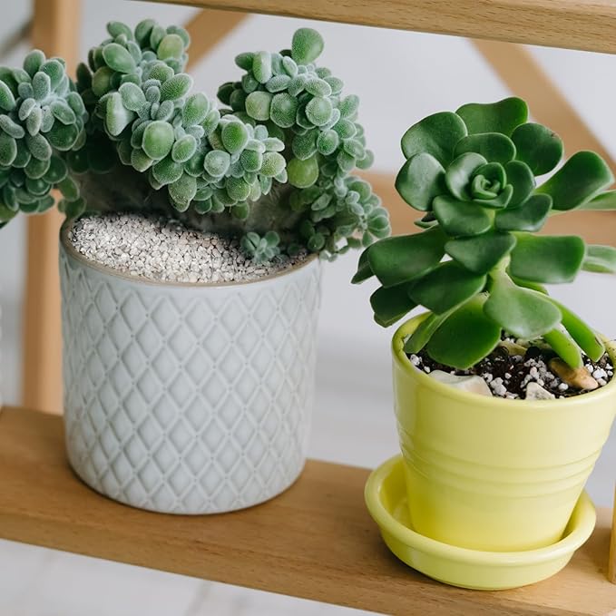 Horticultural Perlite for Plants 2qt, Chunky Perlite Bulk for Gardening, Soil Amendments to Improve Soil Aeration & Dranage for Houseplant