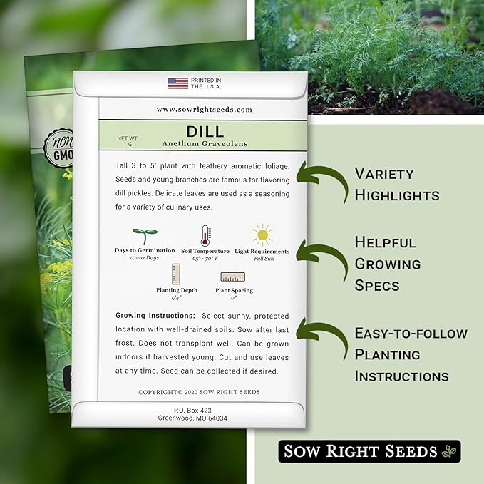 Sow Right Seeds - Dill Seed for Planting - Non-GMO Heirloom Packet with Instructions to Plant and Grow Herb Garden - Indoors or Outdoors - Homemade Dill Pickles - Wonderful Companion Plant (3)