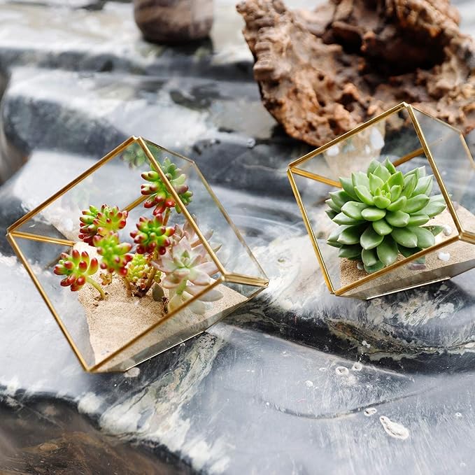 Glass Geometric Plant Terrarium,Succulent & Air Planter for Home Garden Office Decoration(Gold Cubic Set of 2)