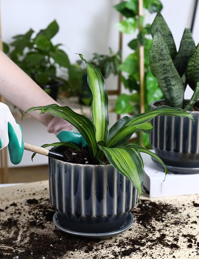 AISBUGUR Plant Pots 6 inch Ceramic Pots for Indoor Plants Set of 2 Flower Pots Unique Crackle Glaze Design Plant Pots with Drainage Hole and Saucer Come with Drainage Nets (Grey)