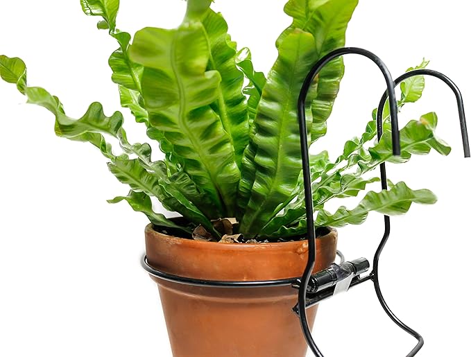 6 Pieces, 8 inches Iron hanging Flower Pot. Metal Plant Wall Hanger, Vertical Yard Garden. Planter Hook Ring, Rail Metal Fence. Indoor and Outdoor. Wire Trellis. Collapsible Bracket. (8 inches)